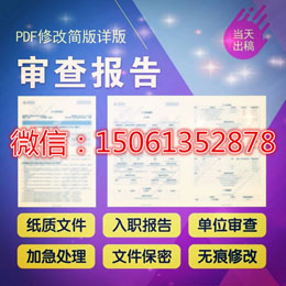 征信報(bào)告修改軟件無痕修改電子版word文檔轉(zhuǎn)